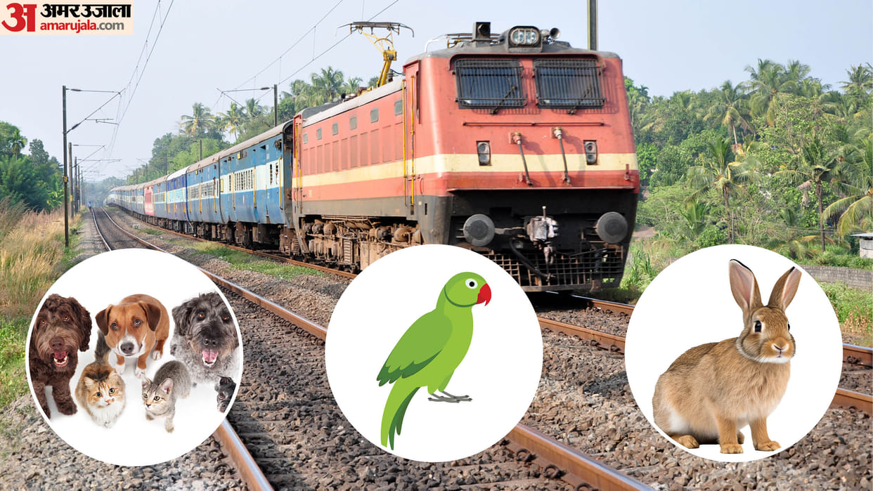 indian railways rules for dog: how to travel with your pet dog on trains