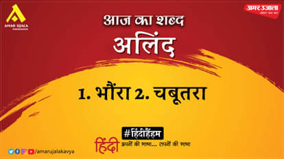 aaj ka shabd alind mahadevi verma hindi kavita ah mandir ka deep isey neerav jalne do