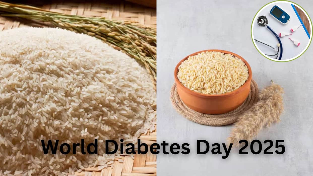 World Diabetes Day 2025 Can Diabetic Patient Consume Rice Know Type Of Rice