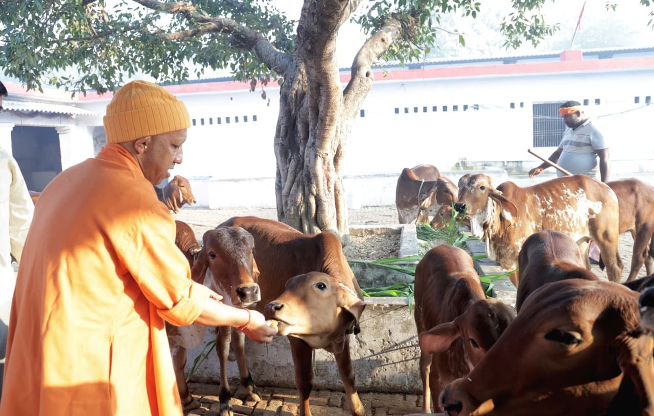 UP News: CM Yogi performed aarti at Maa Pateshwari in Balrampur.