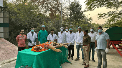 Gorakhpur Zoo first tigress Malani dies