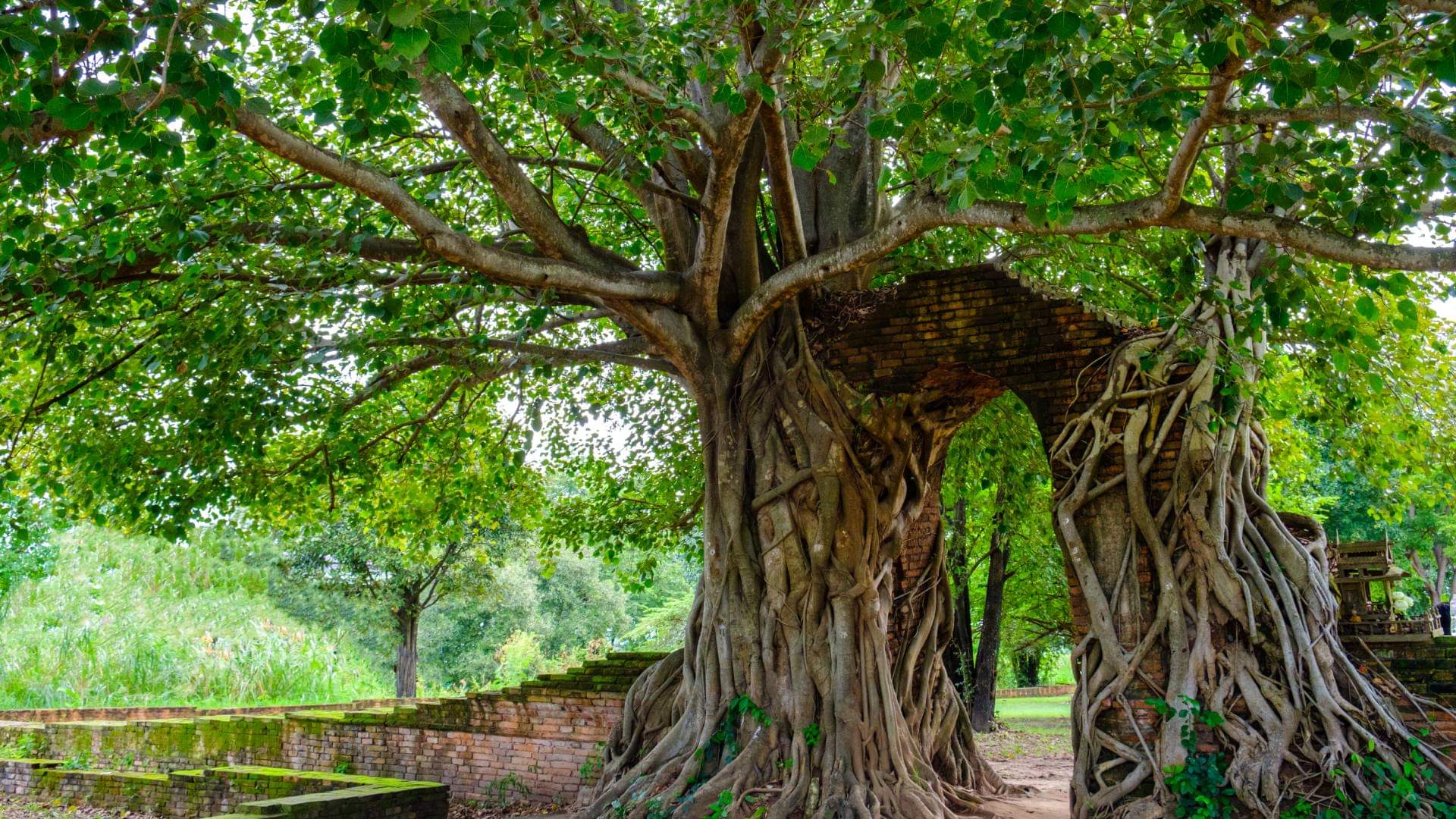 Astro Remedies For Quick Marriage Delay in Marriage Upay in Hindi