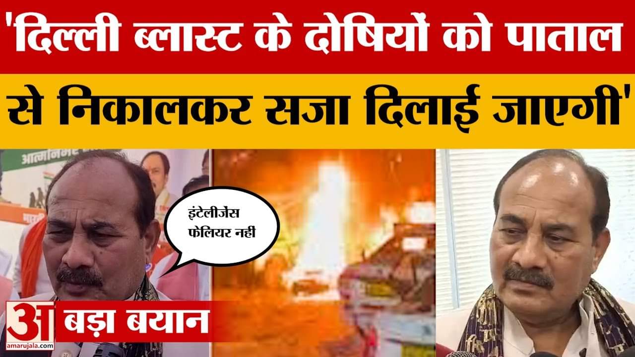 दिल्ली ब्लास्ट को लेकर बोले मंत्री दारा सिंह,  'दोषियों को पाताल से निकालकर सजा दिलाई जाएगी'