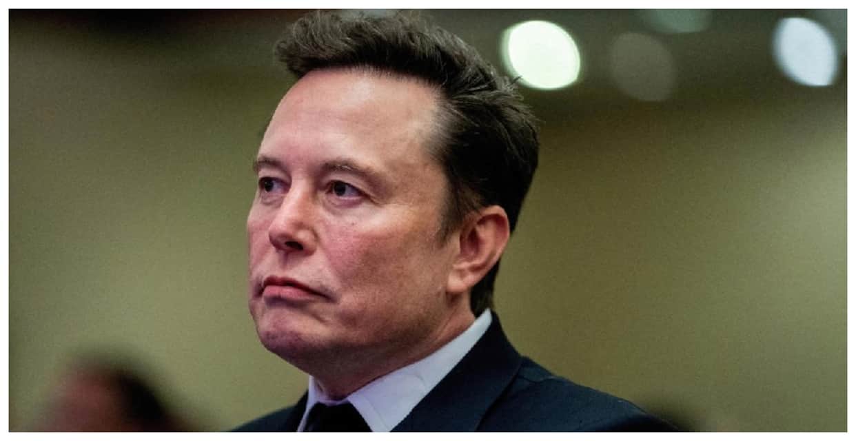 elon-musk-twitter-fraud-verdict-investors-lawsuit-share-price-manipulation