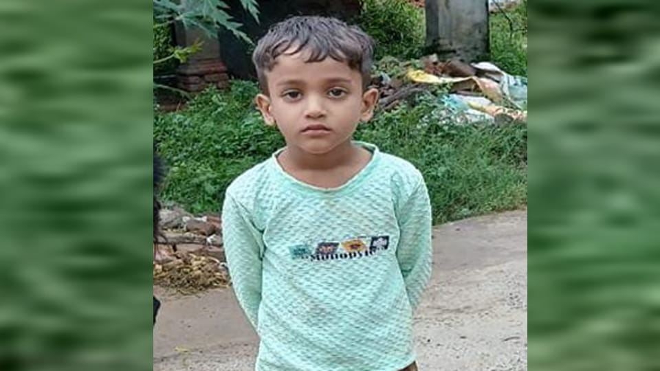 Auraiya: Stray dog bites child on the neck, death leaves family in shock