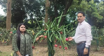 शोध छात्रा के साथ प्रो. विवेक कुमार त्रिपाठी