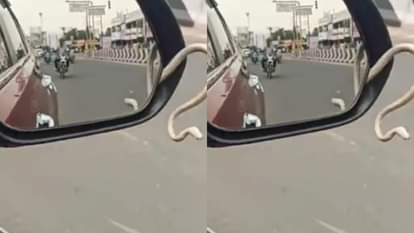कार की साइड मिरर से निकला सांप