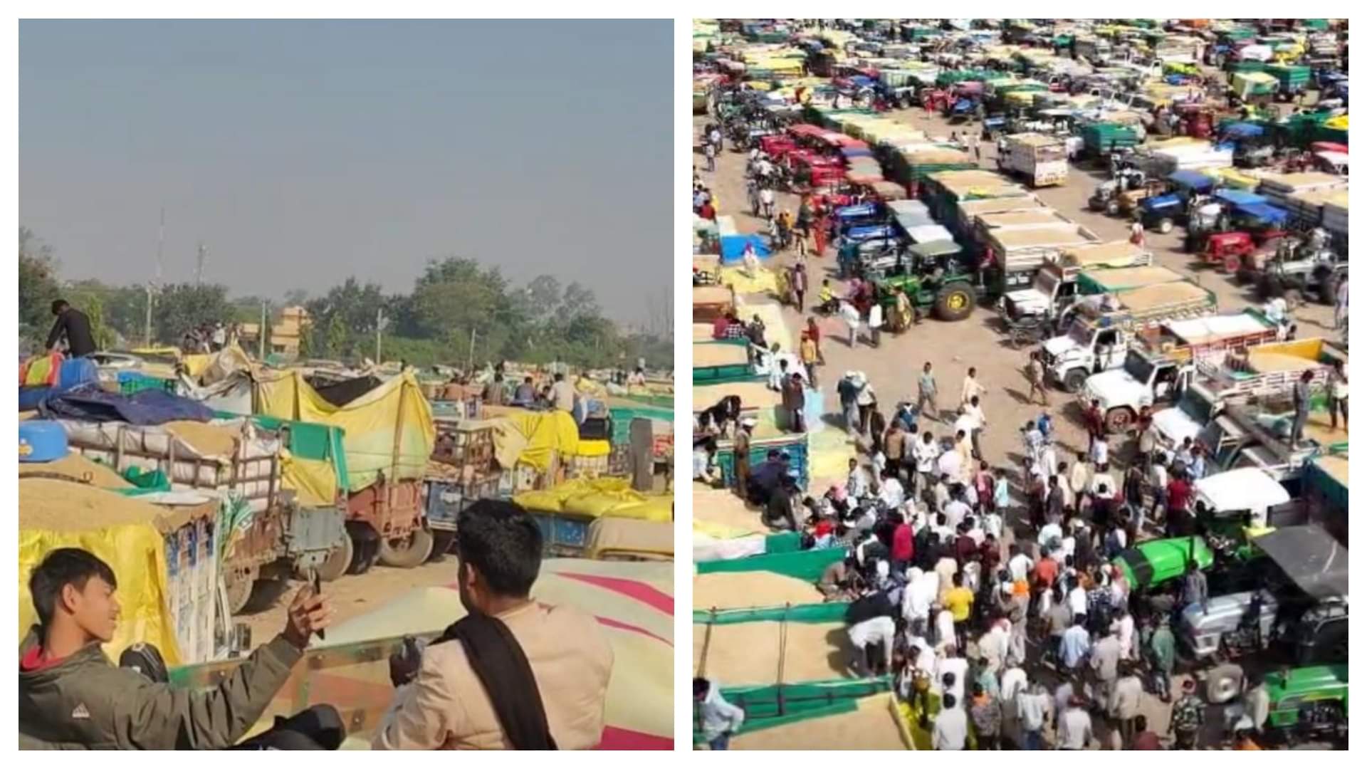 MP News Farmers Forced to Sleep Under Sky as Paddy Floods Mandis in Chilling Cold