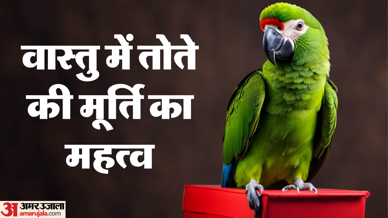 Parrot Photo Vastu Tips Auspicious Direction To Keep Parrot idol At Home