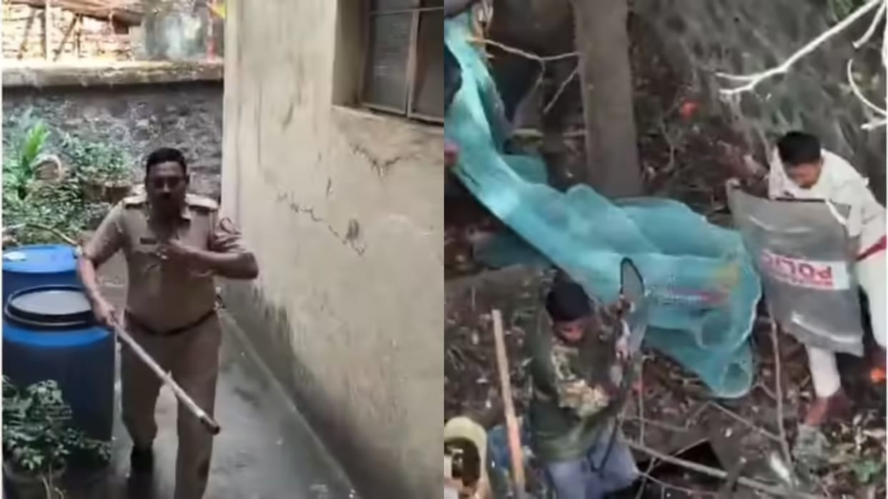 Policemen went to capture a leopard were brutally attacked surround it with rods and sticks Video Viral