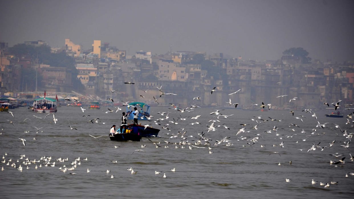 Nights in Varanasi and Shimla are equally cold temperature at 8.8 degrees Celsius westerly winds