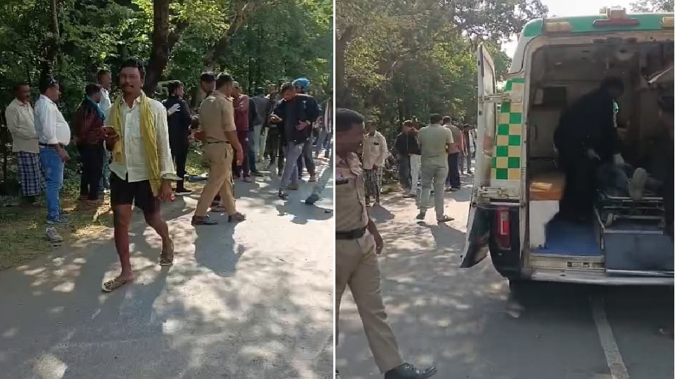 Two people died in separate road accidents kabirdham