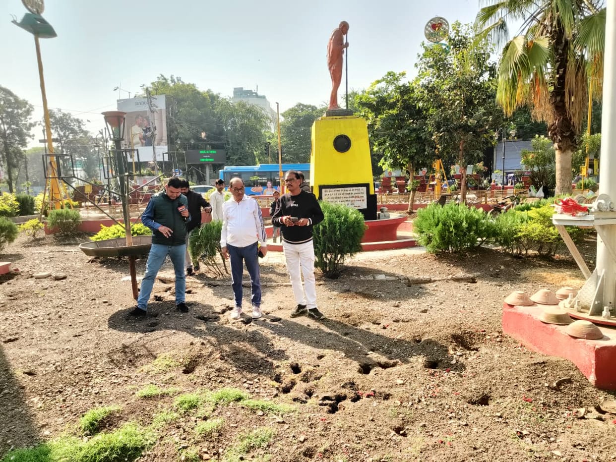 Indore: A colony of rats was found at Gandhi Circle; rats made hundreds of burrows in search of bird food.