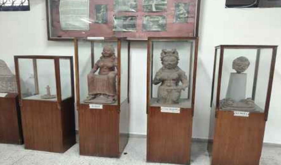 Skeletons and stones reveal development of human civilization, museum Department of Ancient History