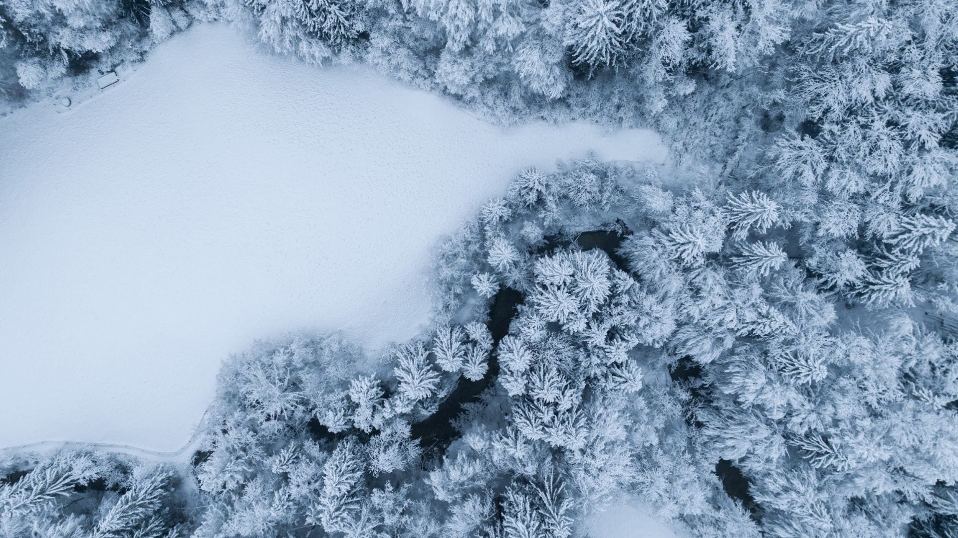 ice age looms in europe iceland freezes first india africa hit by rain chaos