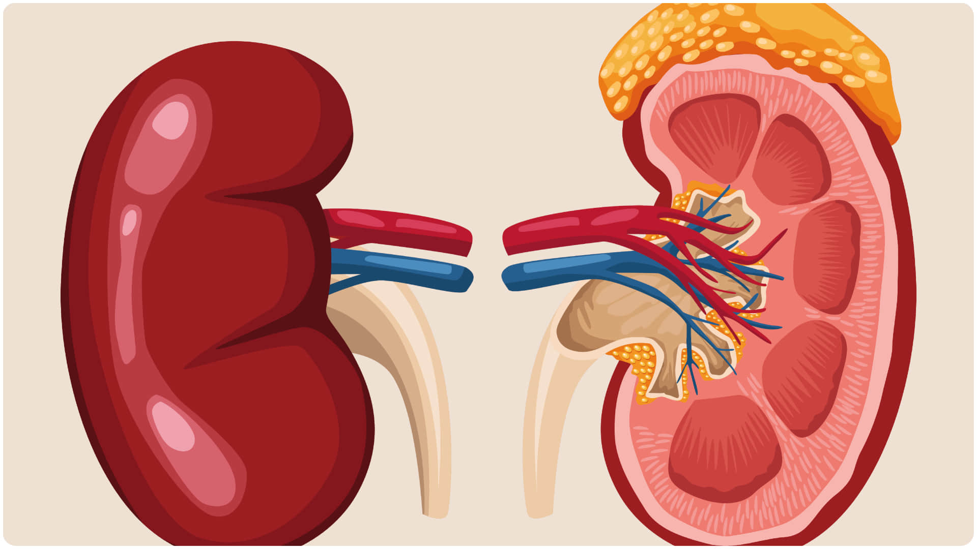 Kidney Failure symptoms Why Do Most People Discover Kidney Failure at Last Stage