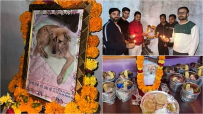 MP Unbelievable: Grieving Owner Holds ‘Tehravi’ for Pet Dog, Serves Rocky’s Favourite Dishes at the Feast