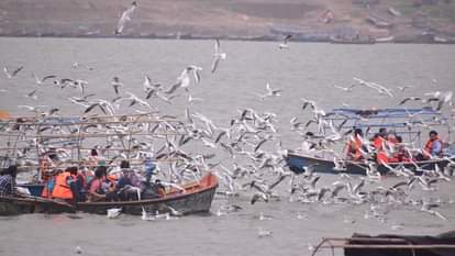 Prayagraj Weather Effect of La Nina, possibility of severe cold along with rain