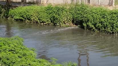 Dirty water falling into canals and drains