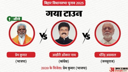 Bihar Election Result 2025 Big Leaders Fate Check Who Is Leading Tej Pratap Tejashwi Yadav