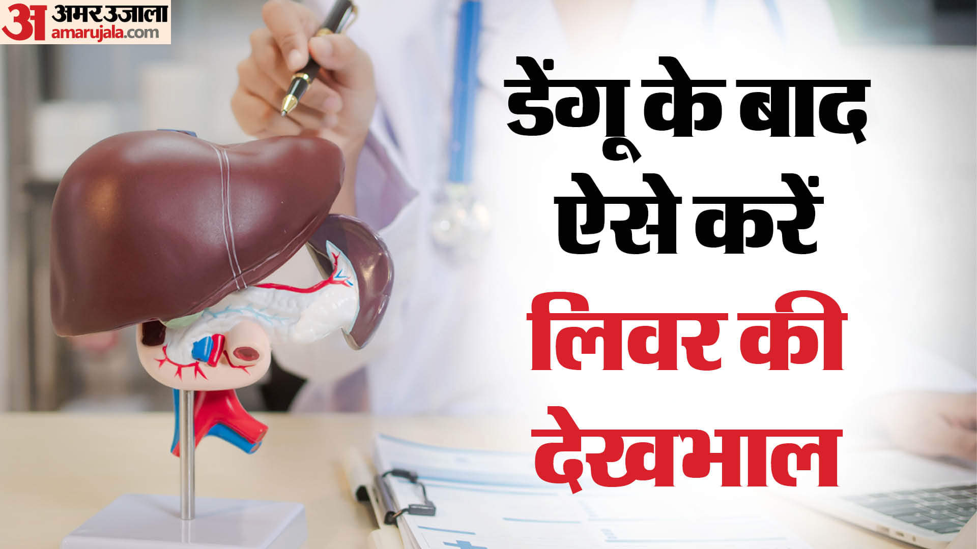 Health Tips How to Care OF Liver After Dengue Recovery Remedies in Hindi