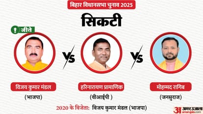 Bihar Election Result 2025 Big Leaders Fate Check Who Is Leading Tej Pratap Tejashwi Yadav