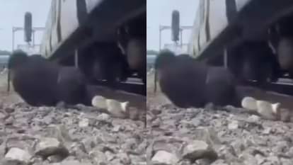 A passion for reels proved costly A young man was walking close to the tracks struck by a speeding train