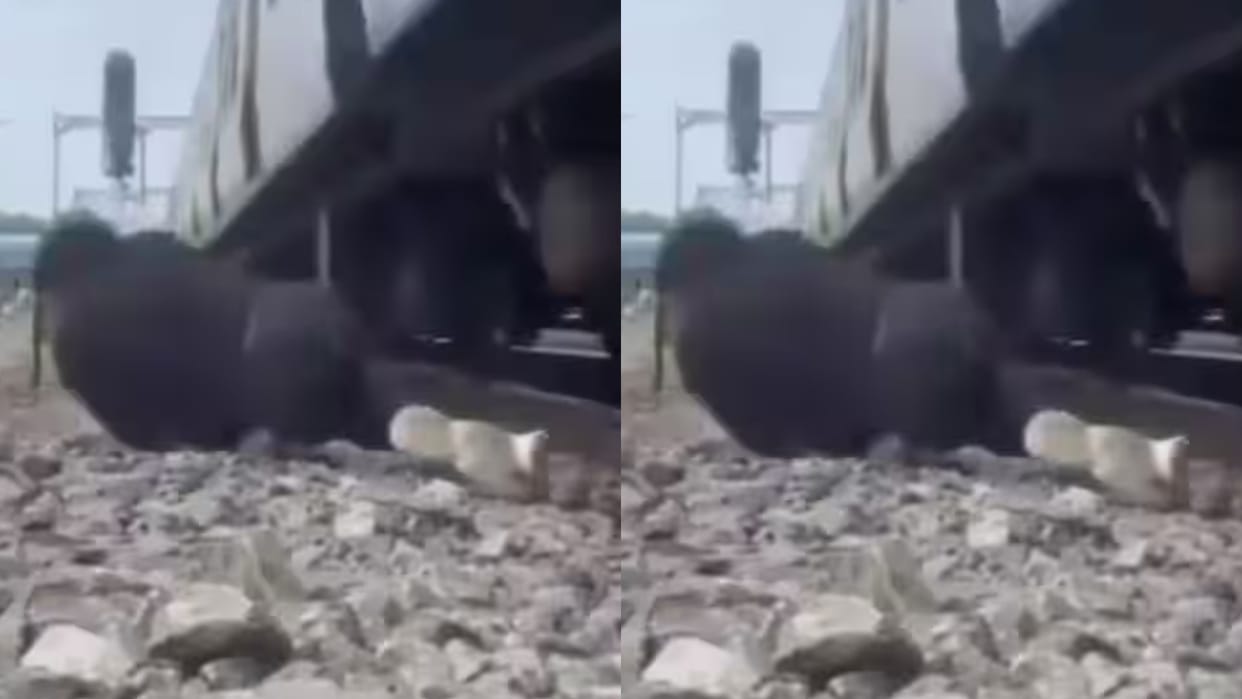 A passion for reels proved costly A young man was walking close to the tracks struck by a speeding train