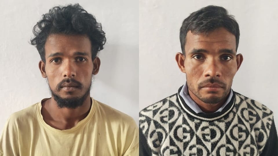 Amroha Murder Case: Farmer Killed Over Personal Enmity Two Brothers Arrested For Strangulation