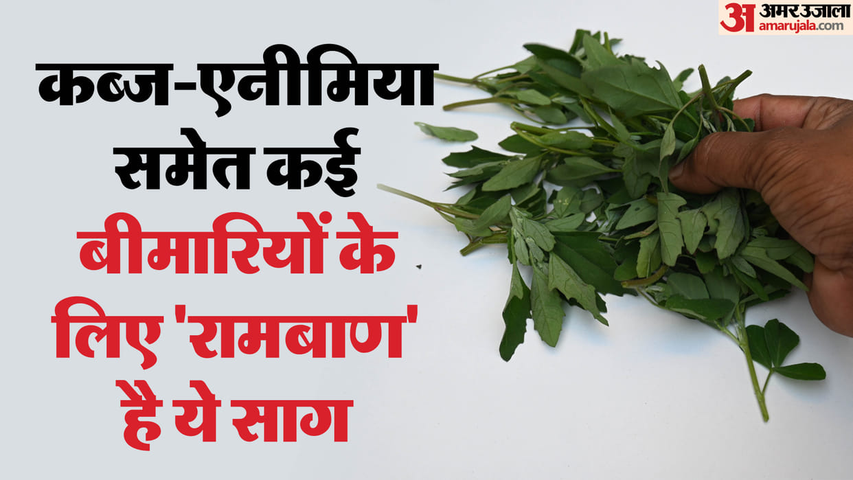 Bathua White goosefoot which rivals spinach in terms of nutrition Bathua khane ke fayde
