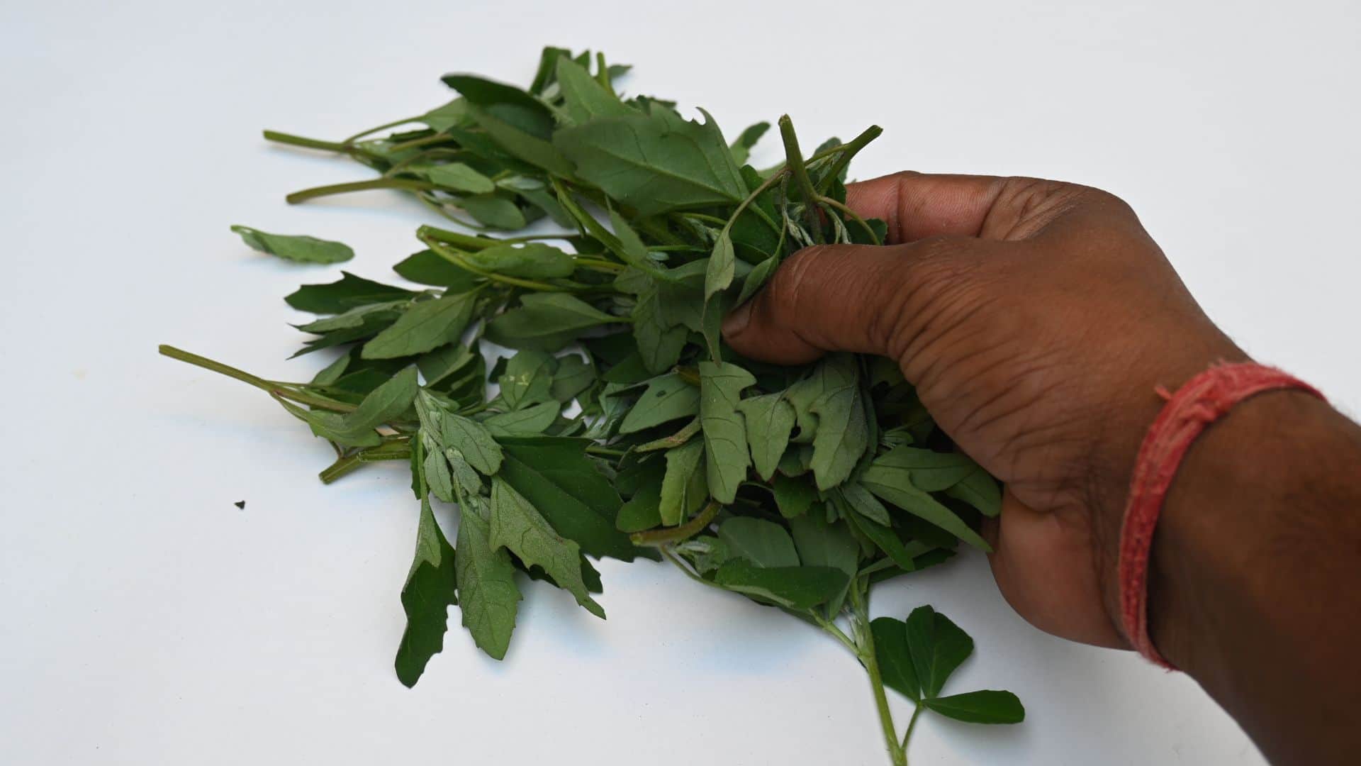 Health Tips: Mustard Bathua or Spinach Which Leafy Green is Healthier Doctor Explained