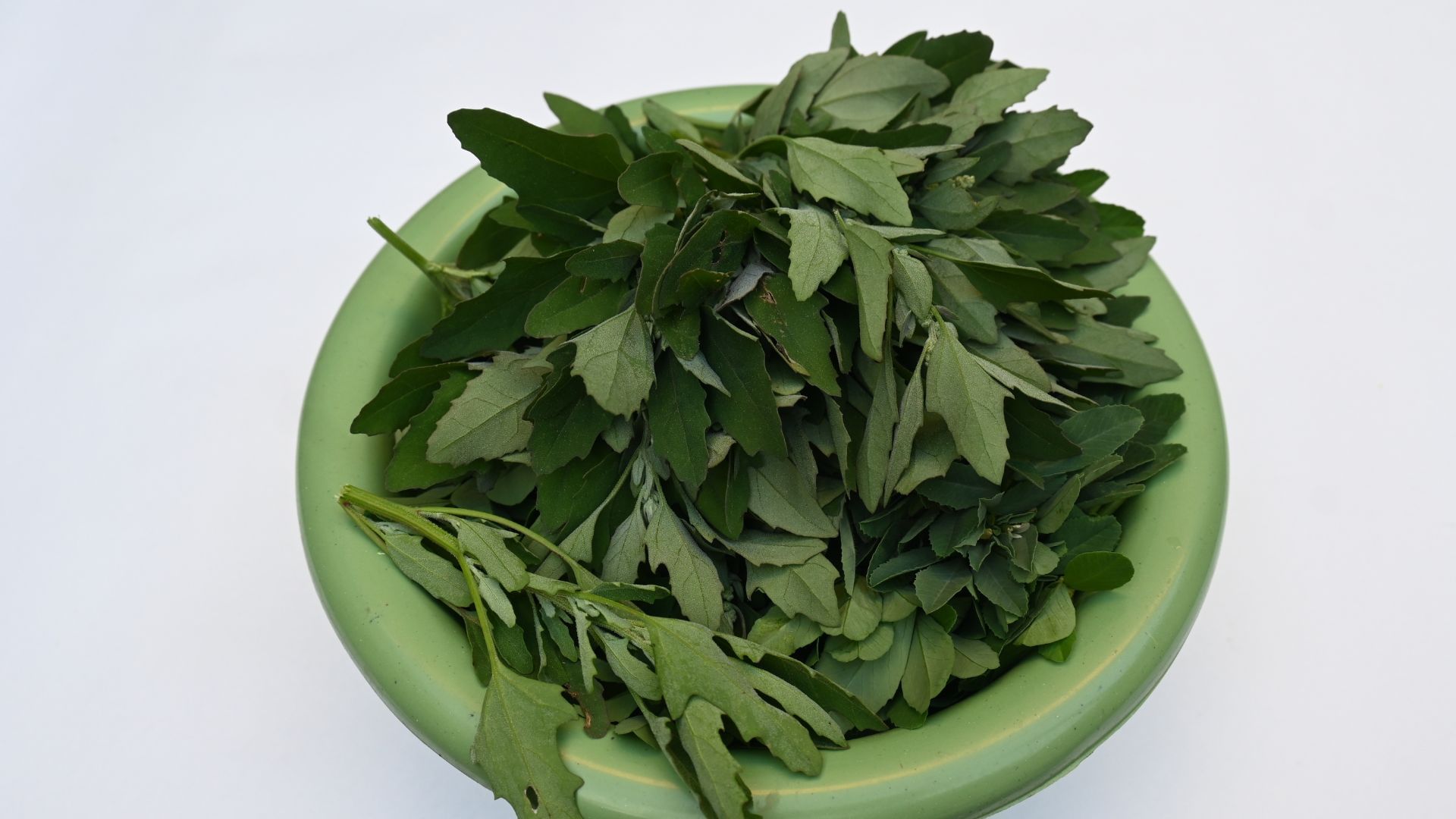 3 Delicious Bathua Recipes to try that boost taste and Healthy Winter diet bathua se banne wali recipe