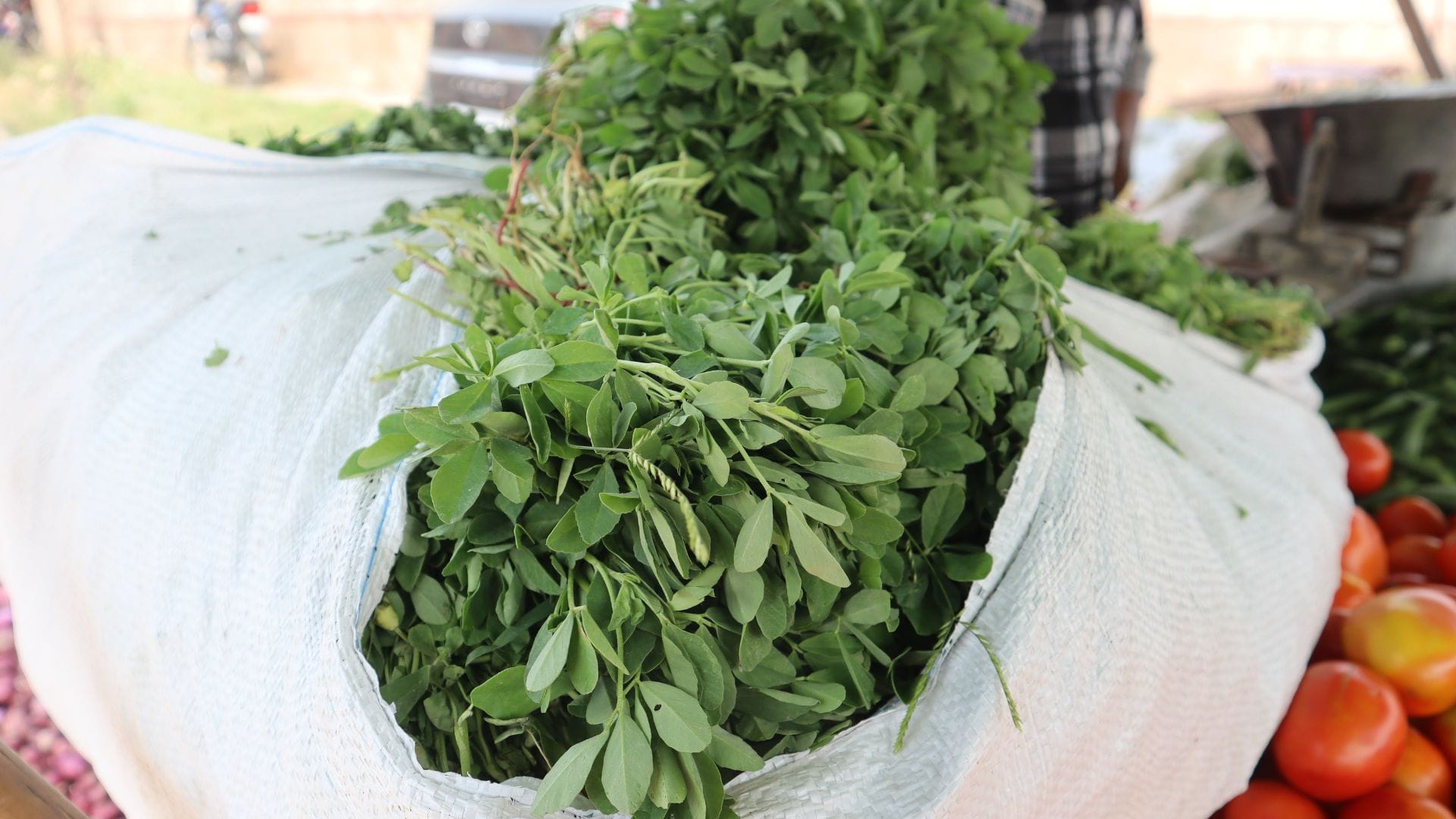 Bathua White goosefoot which rivals spinach in terms of nutrition Bathua khane ke fayde