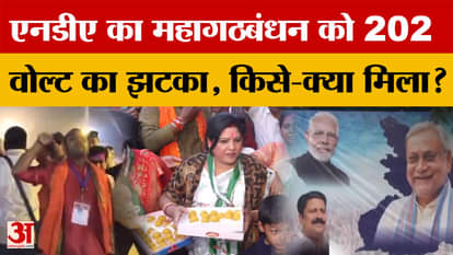 Bihar Election Result 2025: NDA gave a big blow to the Grand Alliance, who got what in the election