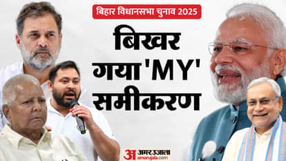 Bihar Election Result: How many MLAs from which caste in Bihar Assembly, caste equation, Nitish Kumar, NDA, MY