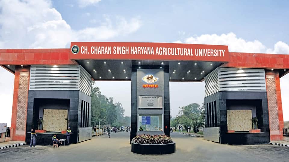 Students can apply for UG and PG courses at HAU Hisar starting today