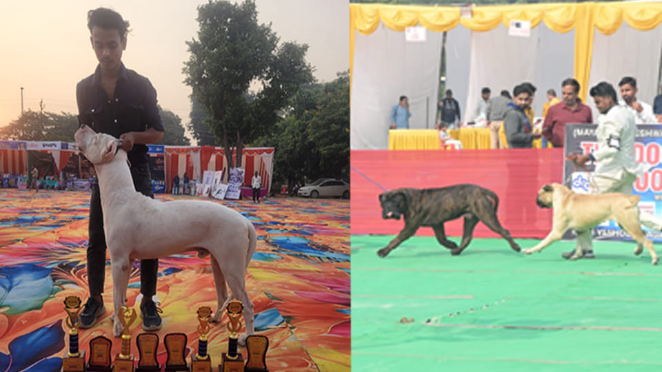 Kanpur: Dogs walked the ramp at the All India All Breeds Championship Dog Show in Motijheel