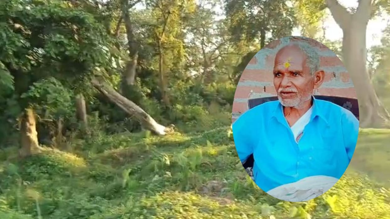 cage will be set up to capture the tiger after farmer death in lakhimpur
