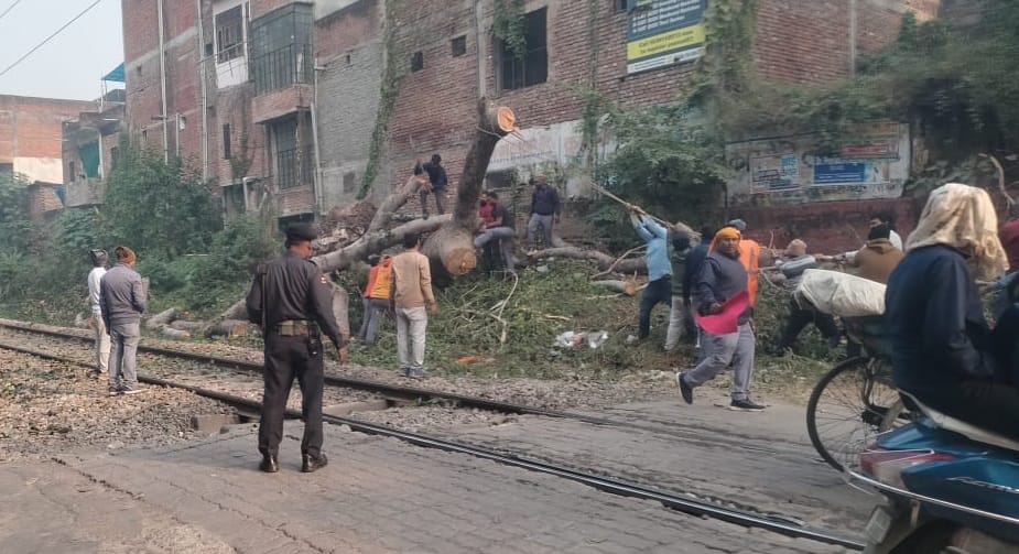 Kanpur huge tree fell on railway line near the IIT Gate crossing halting operations on route for five hours