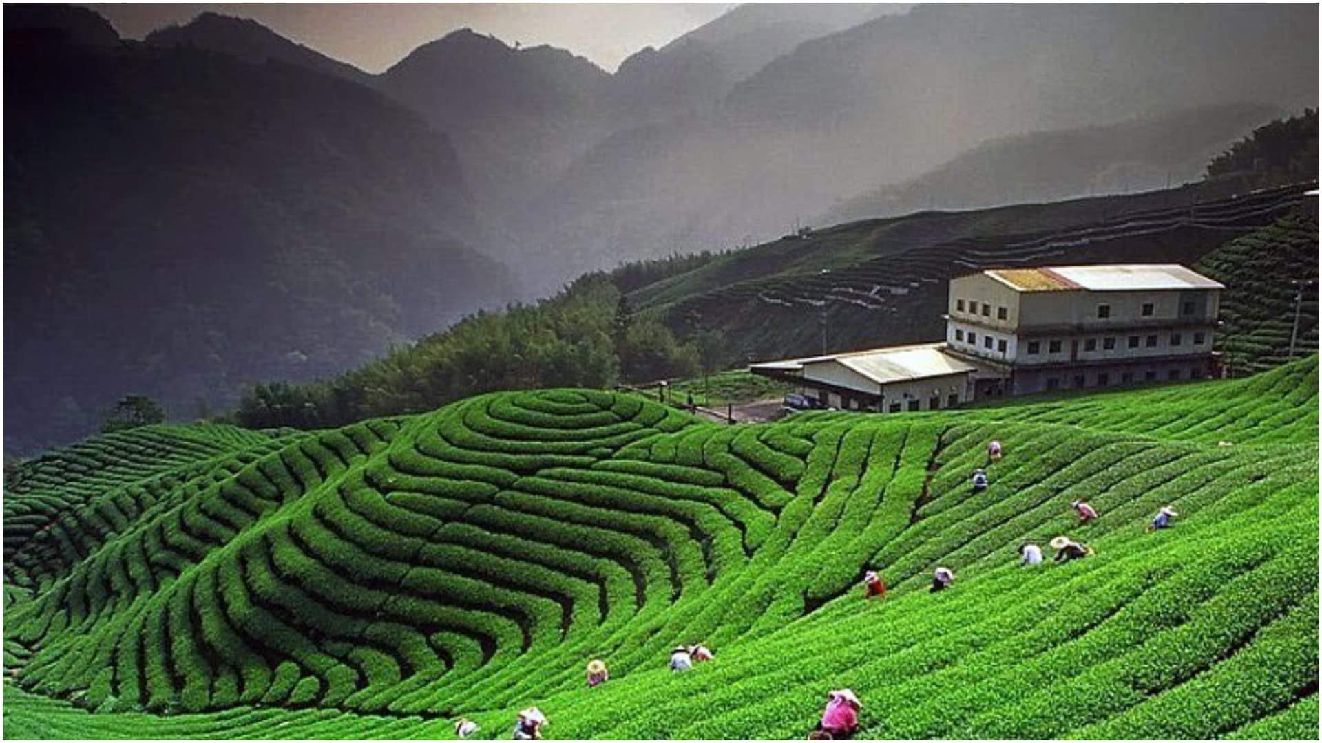 Delhi Pollution 2025: Clean Air Hill Stations In Uttarakhand AQI Under 100 Trip Plan