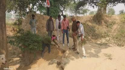 body of a young woman was found buried in a deserted garden, suspected of being murdered and disposed of
