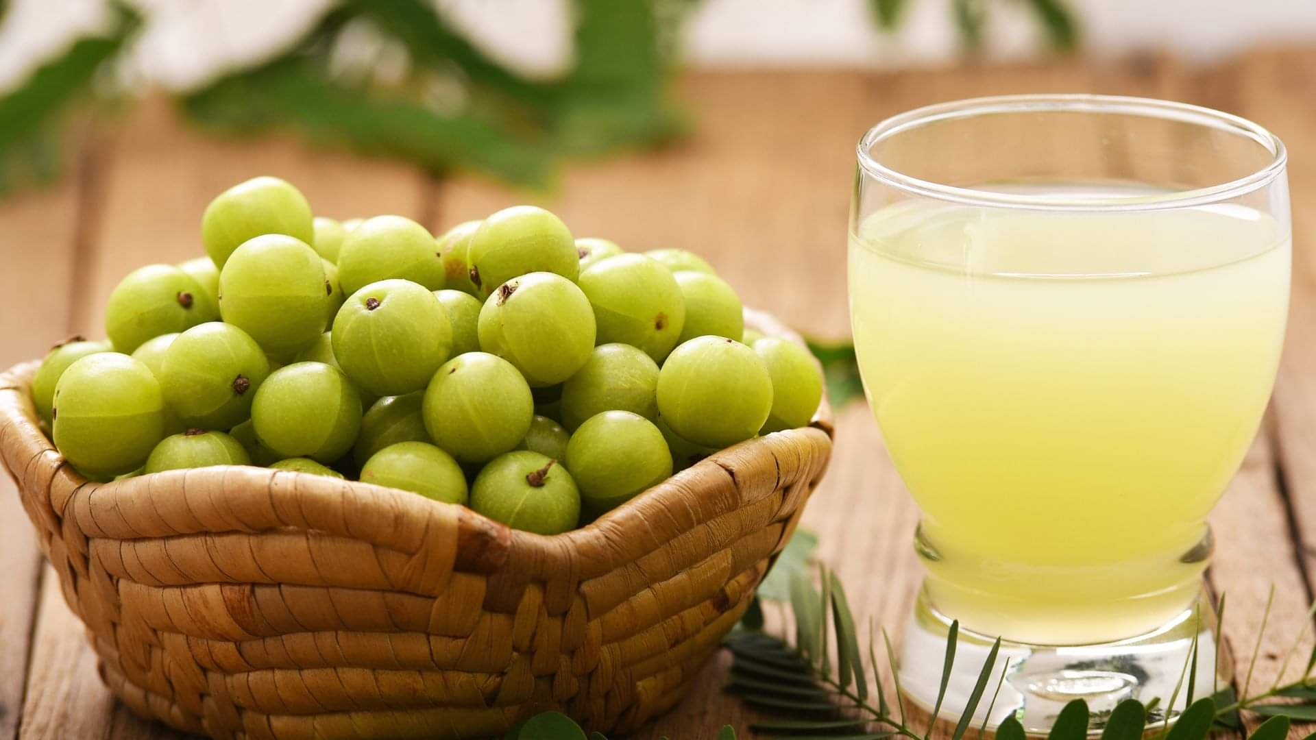 Mix aloe vera with amla juice drinking it every morning know benefits in hindi