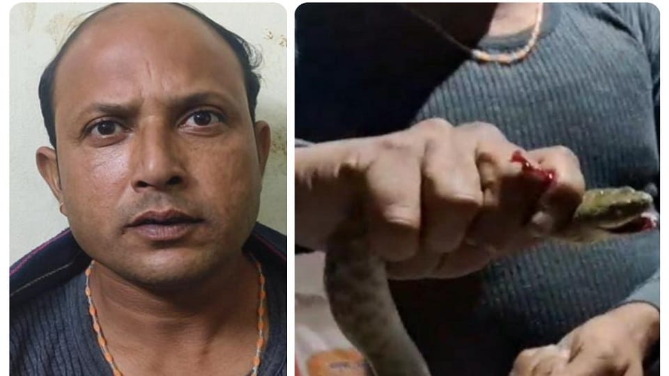 Bijnor: The snake bit..., the youth did show bravery, reached the hospital with the live snake