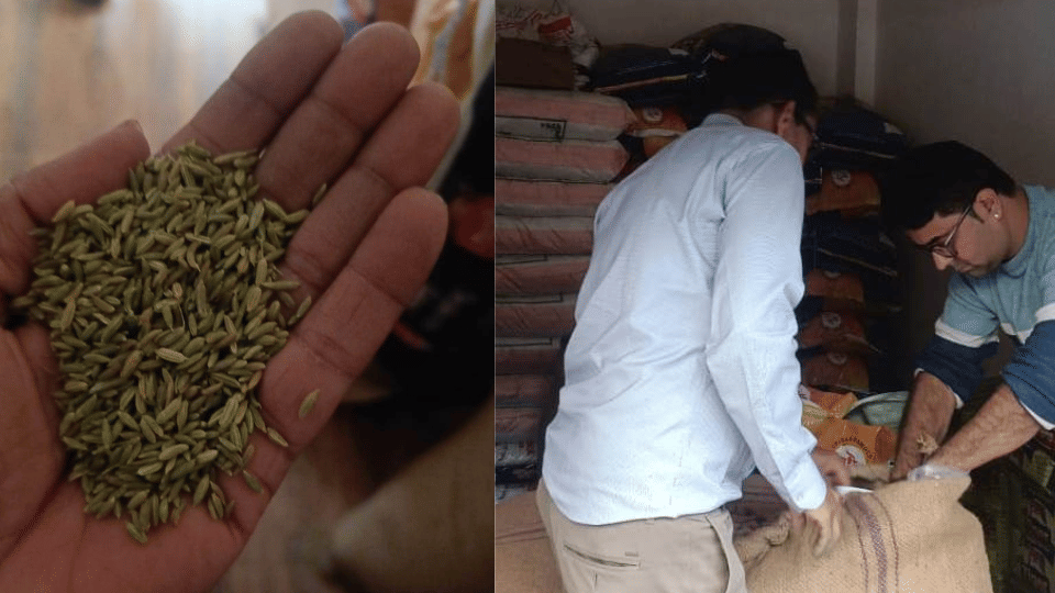 Indore news FDA raids godown seizes adulterated fennel and substandard poppy seeds