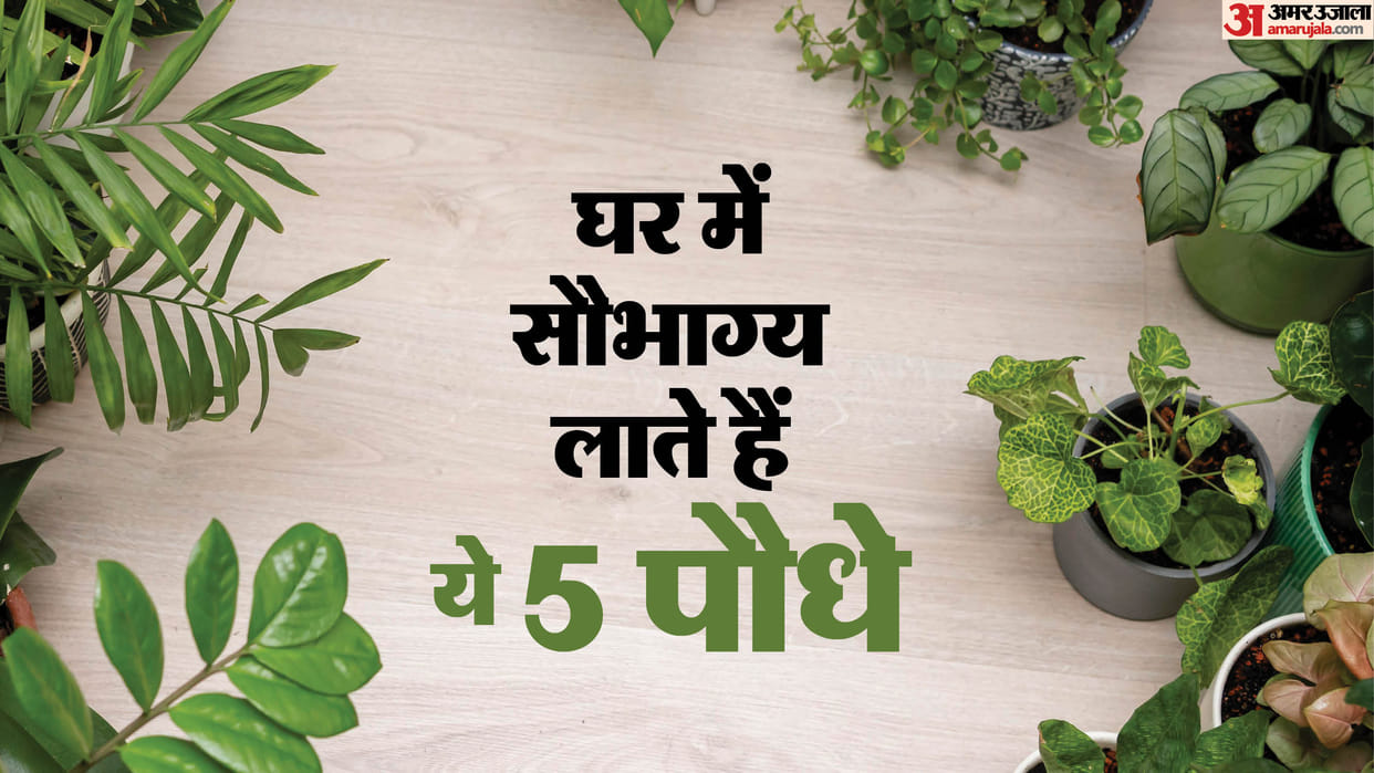 These plants are lucky for your home vastu ke anusar ghar mein kaun se paudhe lagane chahiye