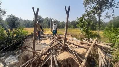 herd of elephants destroyed farmers crops driven back into the forest by the forest department in Korba