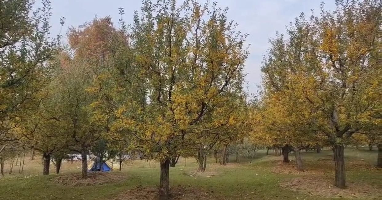 Minimum temperature was recorded in minus in almost all the districts of the valley on Saturday.