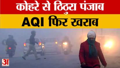 Fog, cold and stubble burning ravages Punjab's air quality, reaching 200+ AQI