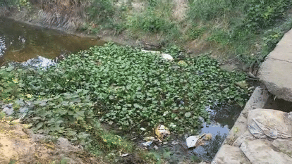 kiln worker body found in the canal