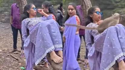 A girl was filming a reel in front of the camera when a monkey attacked her causing her to scream